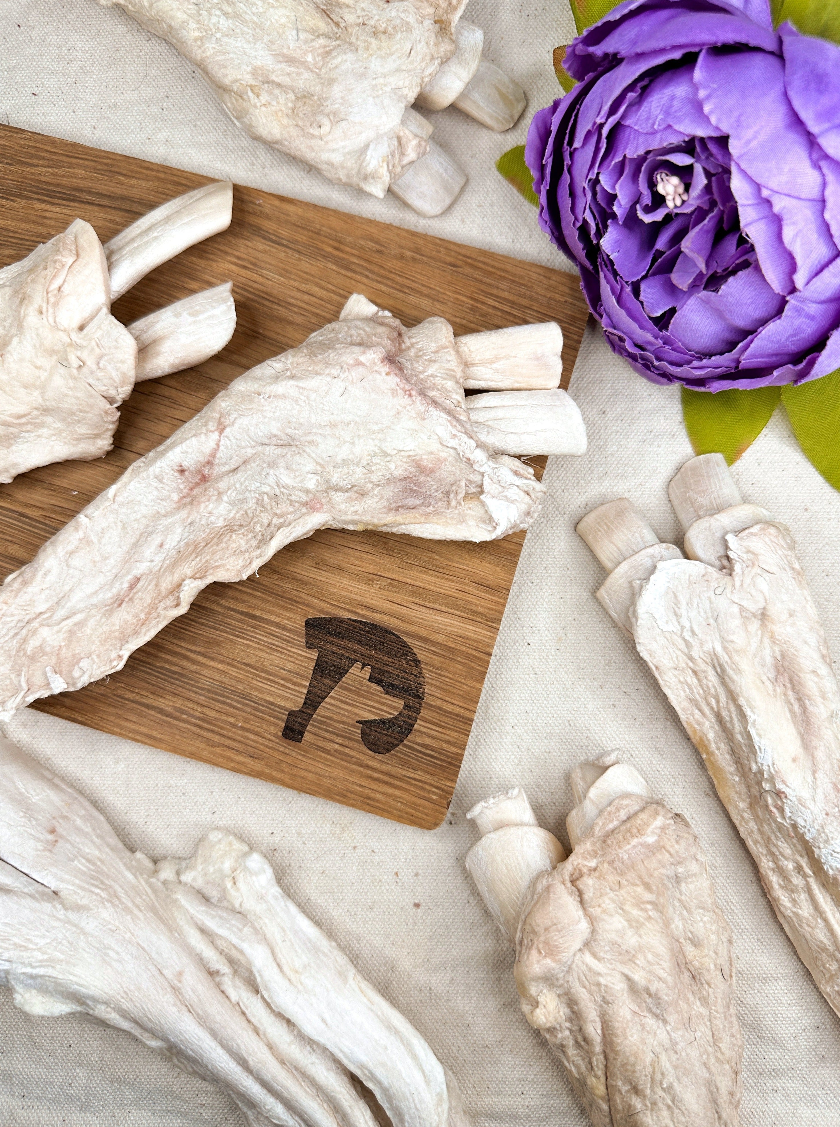 Freeze-dried Beef Tendon (Whole)