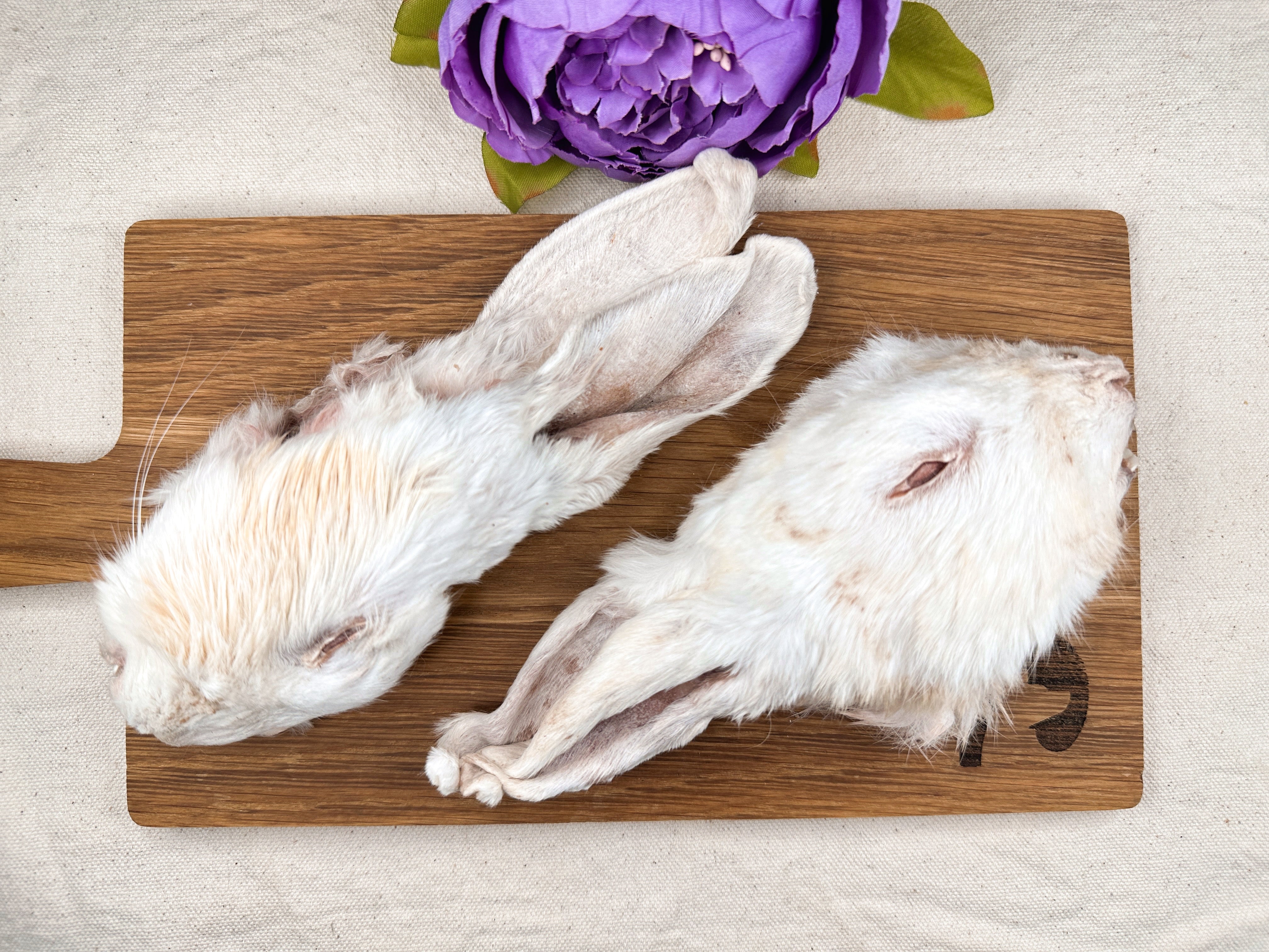 Freeze-dried Rabbit Heads (Fur)