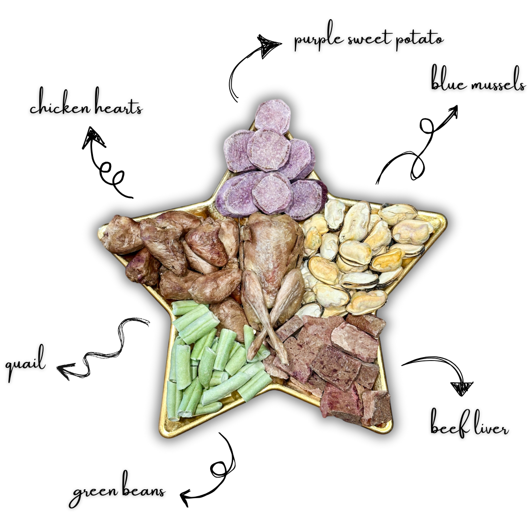 Christmas Star Barkuterie Board