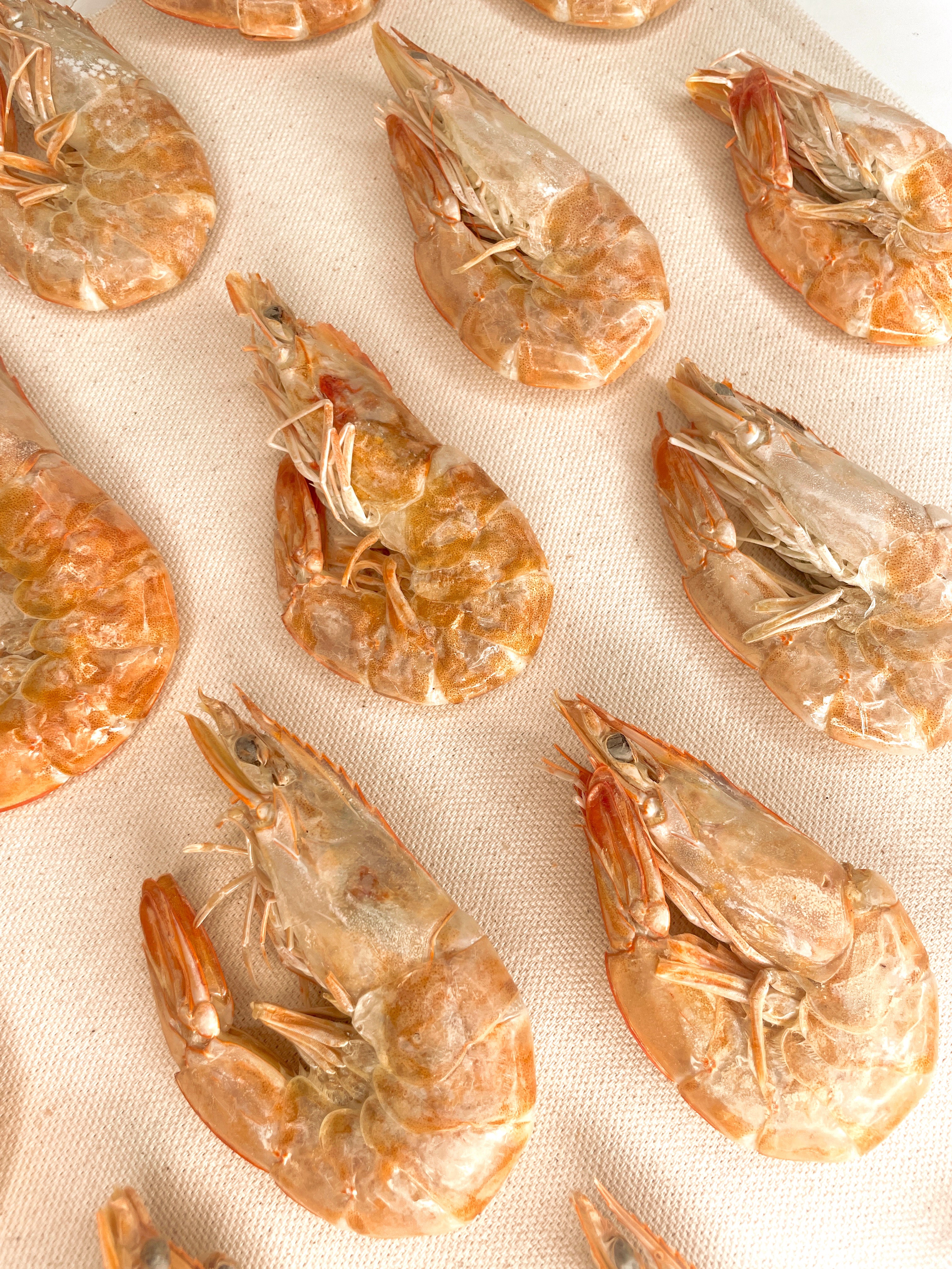 Freeze-dried Shrimp