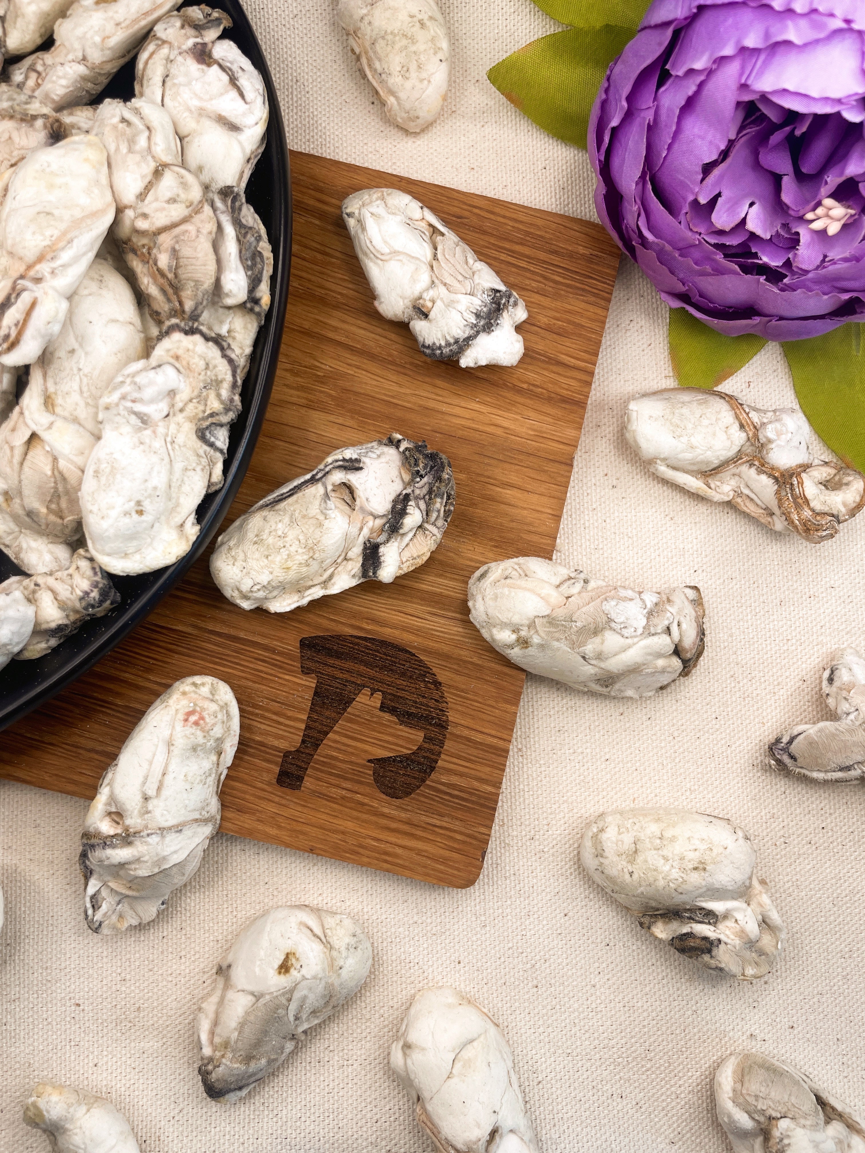 Freeze-dried Oysters
