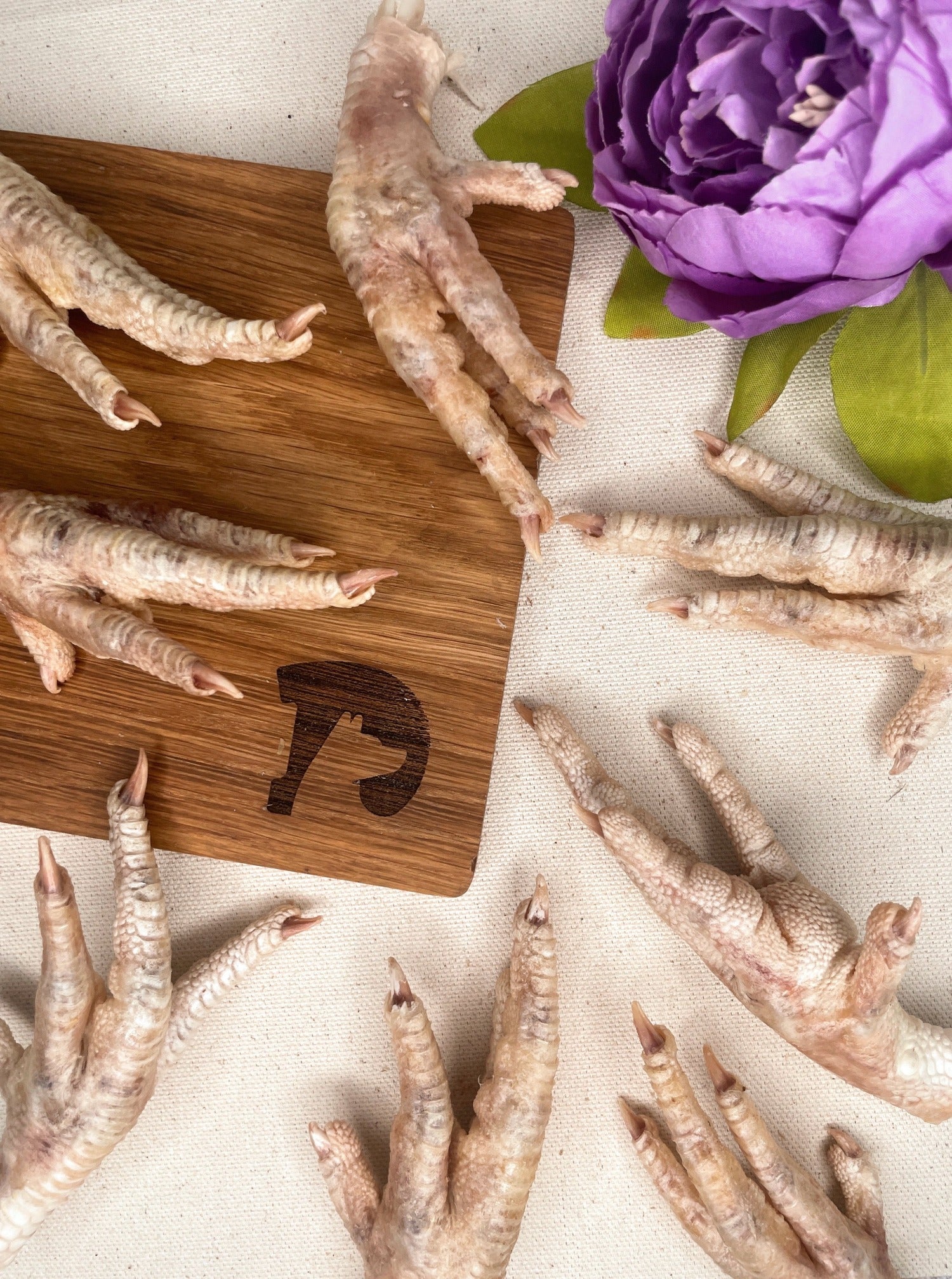 freeze dried chicken feet