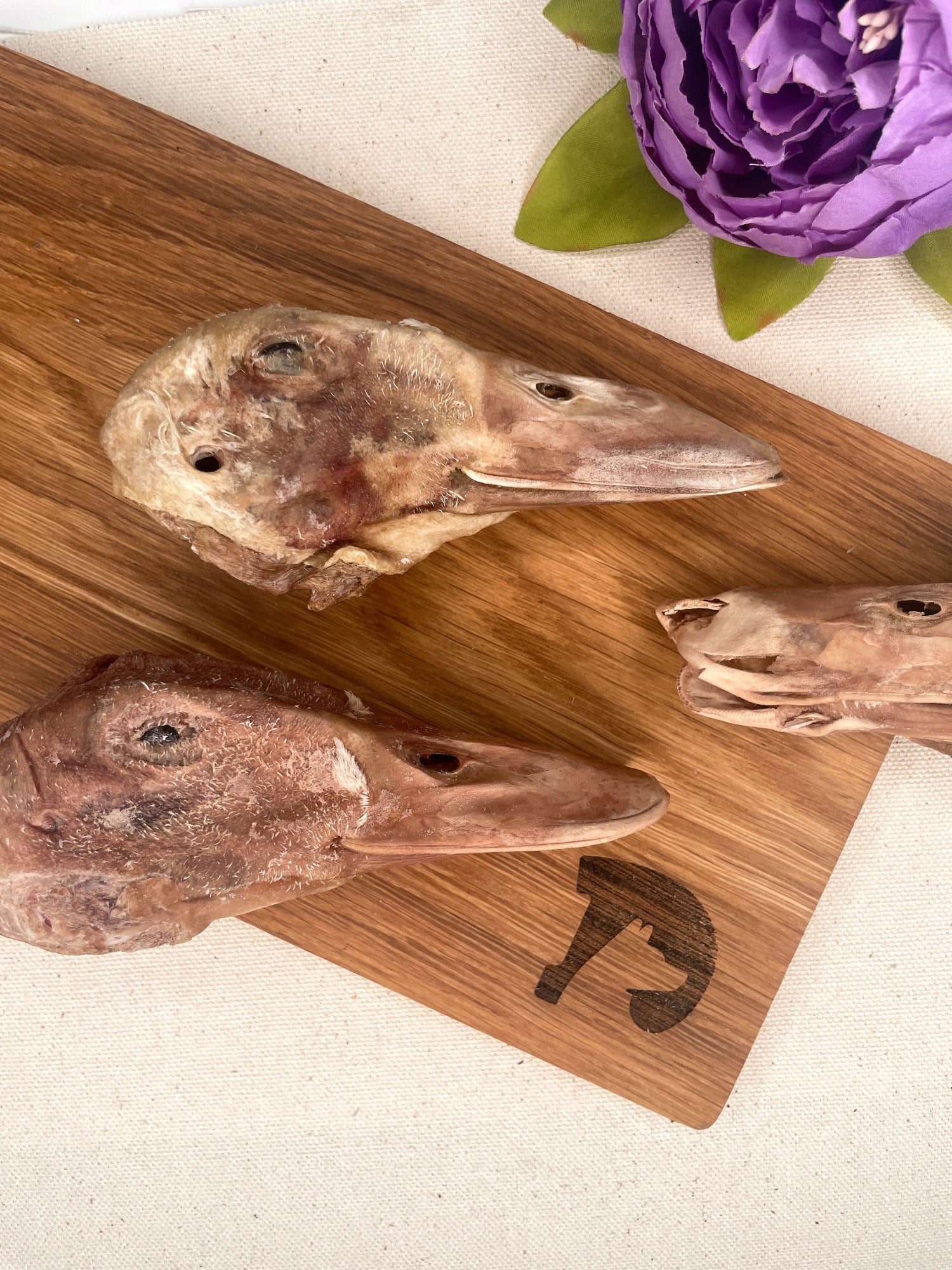 freeze dried duck heads